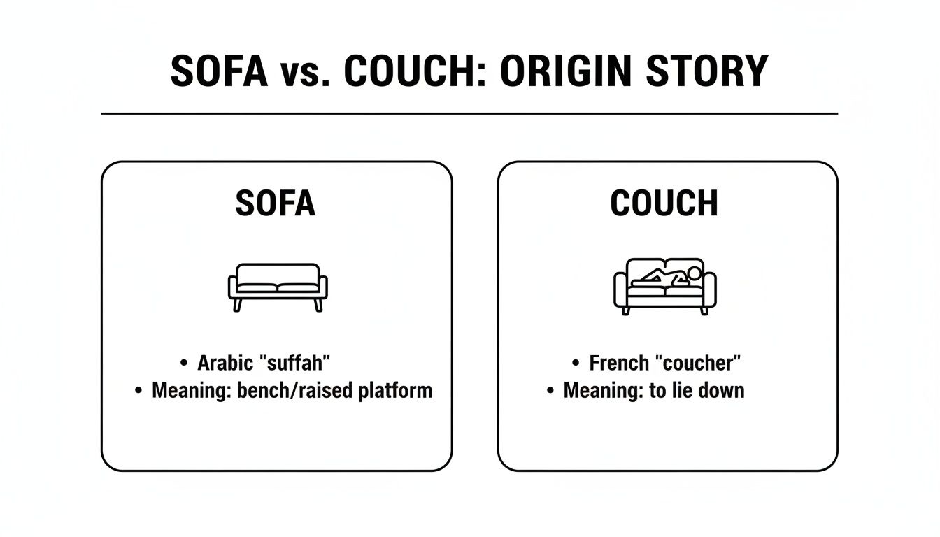 An infographic comparing the origin stories of 'sofa' and 'couch', detailing their etymology and meanings.