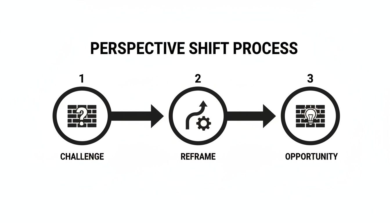 A diagram illustrates the perspective shift process from a challenge to an opportunity.