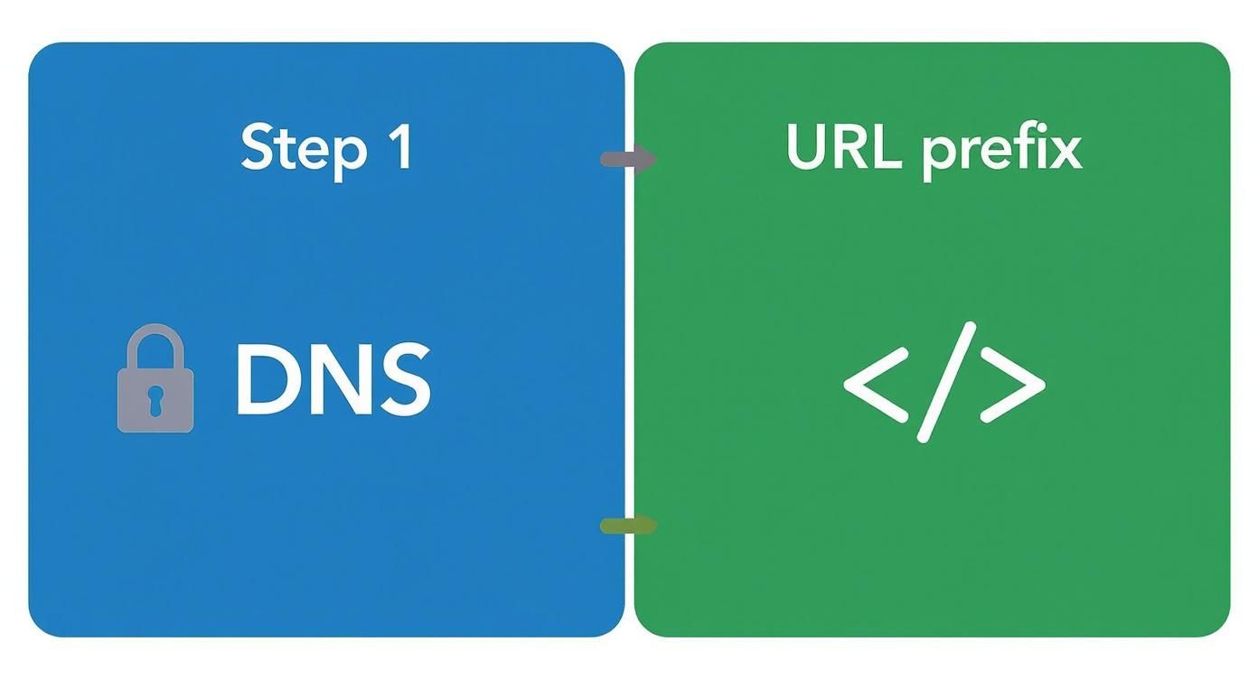 Infographic about гугл серч консоль