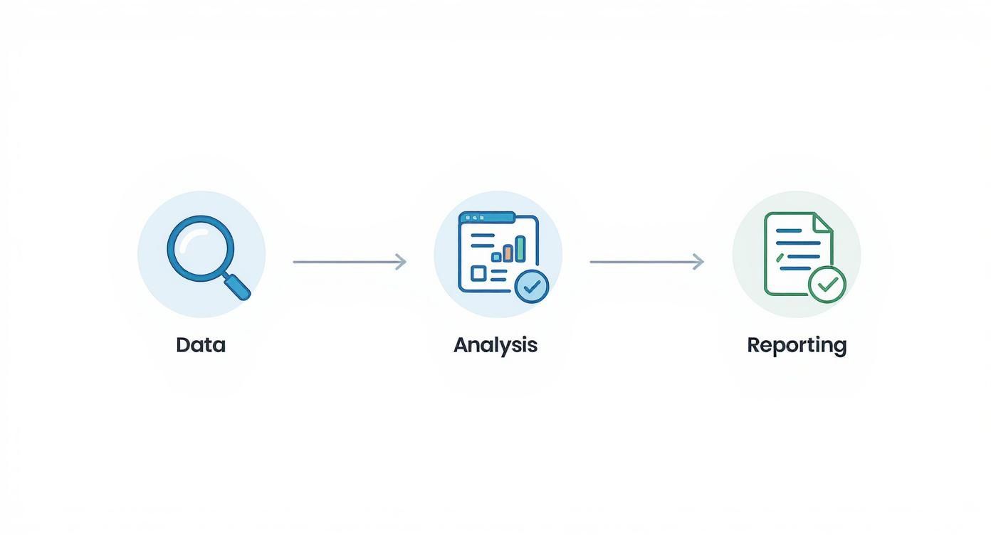 Інфографіка, що показує процес аудиту: збір даних, аналіз та звіт