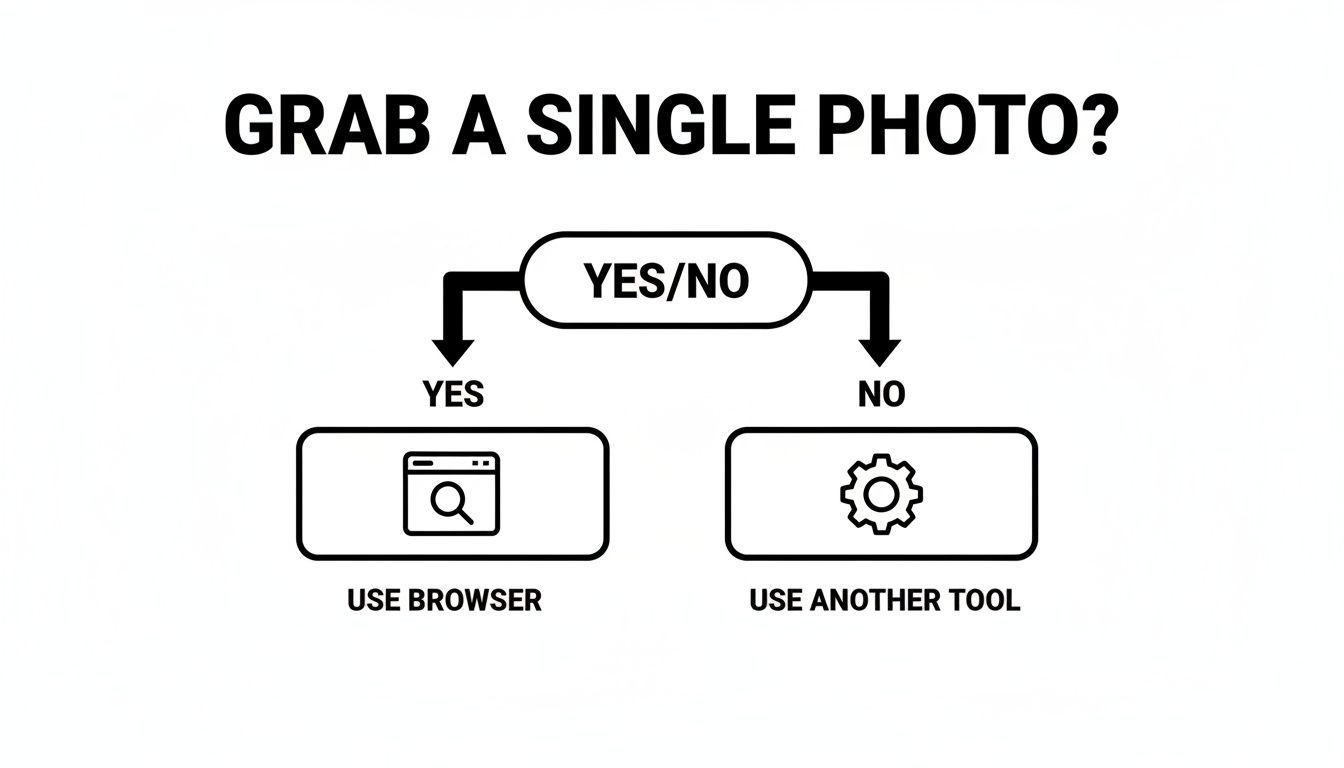 A flowchart presenting options for grabbing a single photo: 'YES/NO' decision leads to 'USE BROWSER' or 'USE ANOTHER TOOL'.