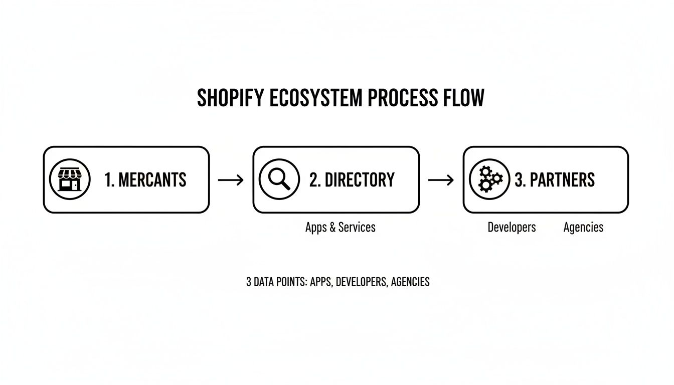 Shopify ecosystem process flow: merchants access apps and services via directory, then engage partners like developers and agencies.