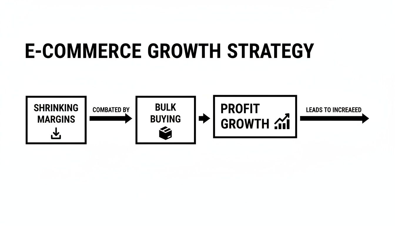 Flowchart illustrating an e-commerce growth strategy: shrinking margins are combated by bulk buying, leading to profit growth.