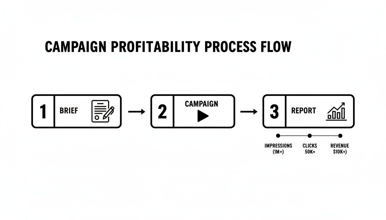 Flowchart showing a three-step campaign profitability process: brief, campaign, and report with metrics.