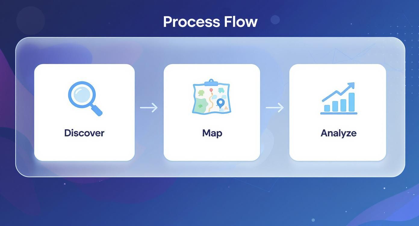 A process flow diagram illustrating Discover, Map, and Analyze stages with corresponding icons.