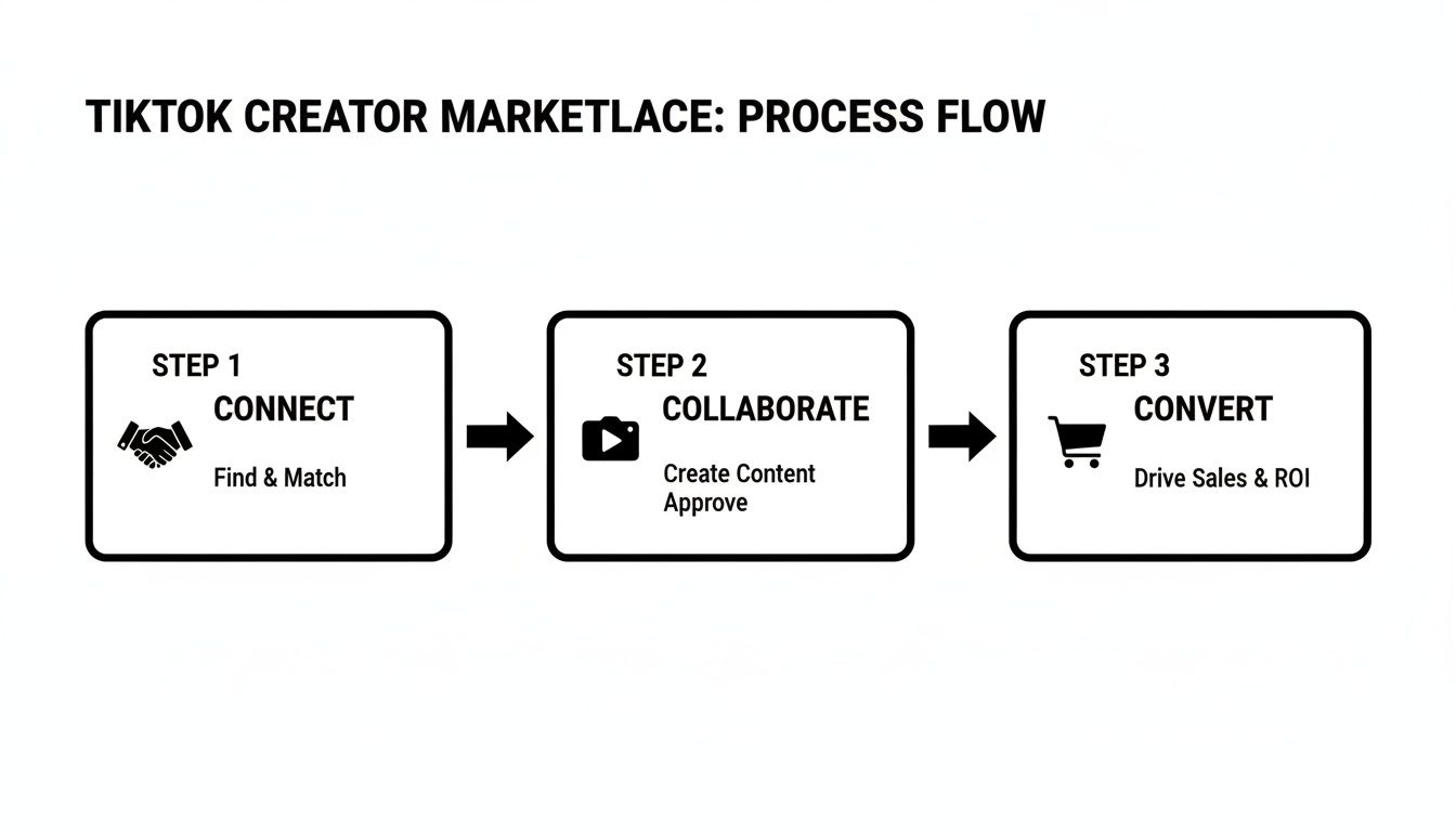 A three-step process flow for TikTok Creator Marketplace: Connect, Collaborate, and Convert.