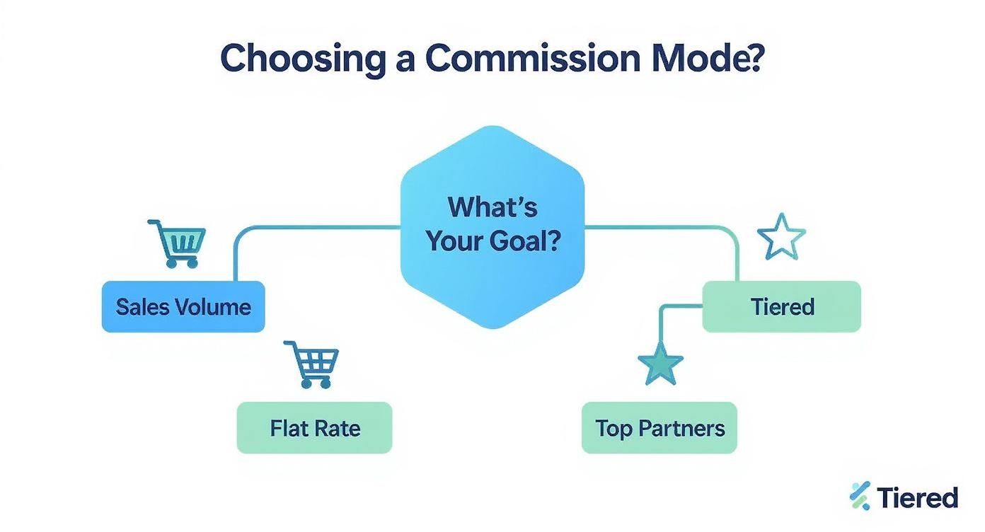 Infographic about affiliate program management