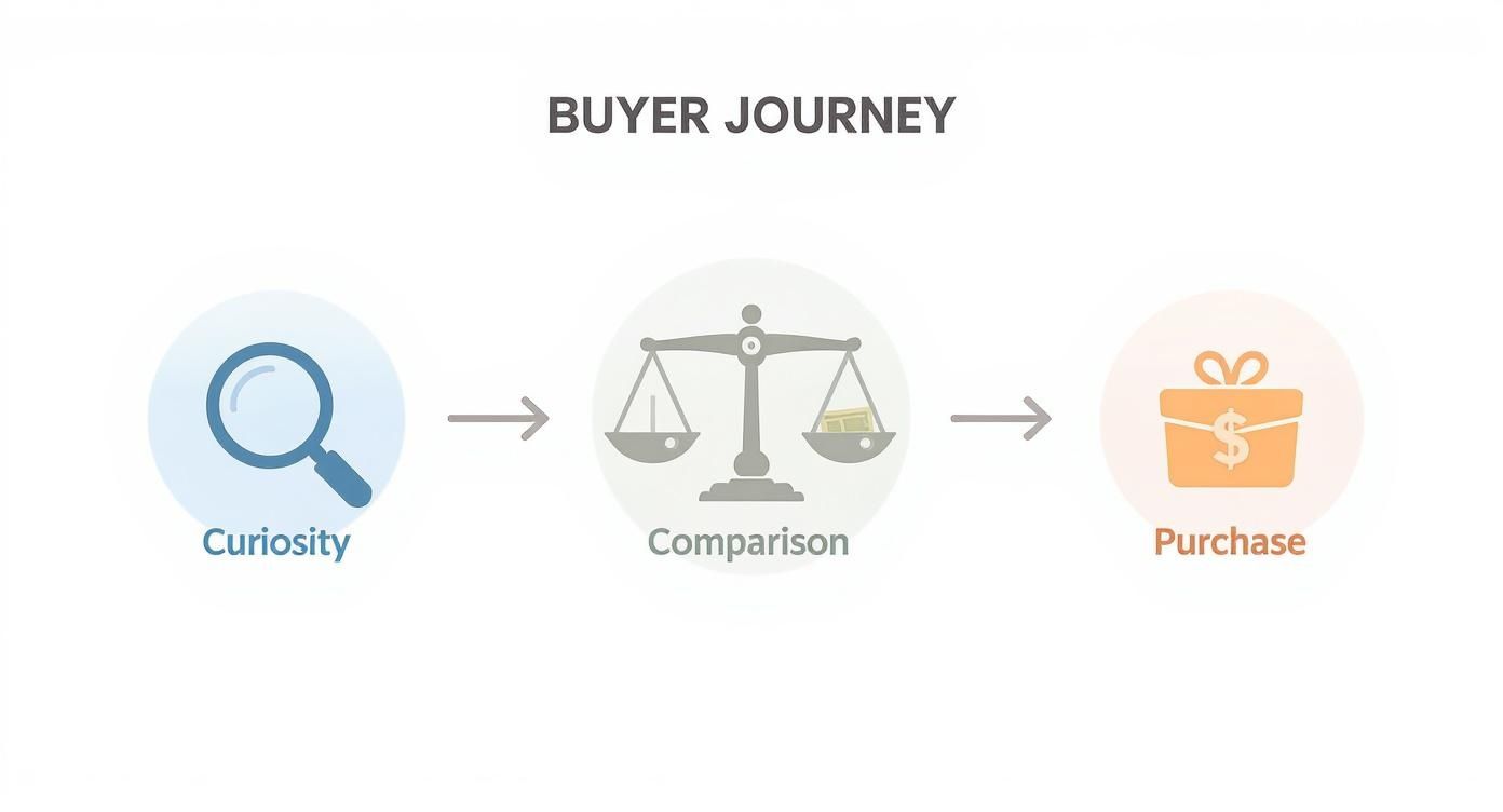 Infographic about affiliate marketing keyword research