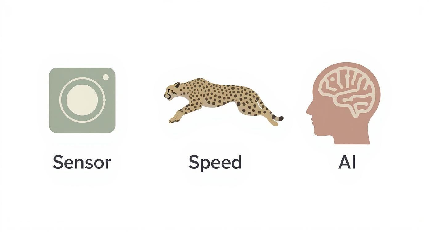 An image with three icons: a camera sensor, a leaping cheetah representing speed, and a brain symbolizing AI.