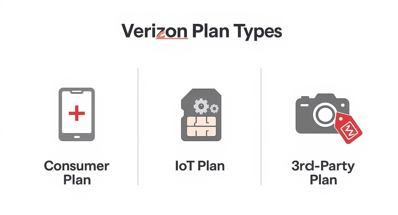 A graphic showing Verizon's three plan types: Consumer, IoT, and 3rd-Party, with corresponding icons.