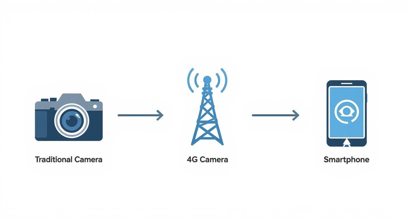 Infographic about 4g trail camera