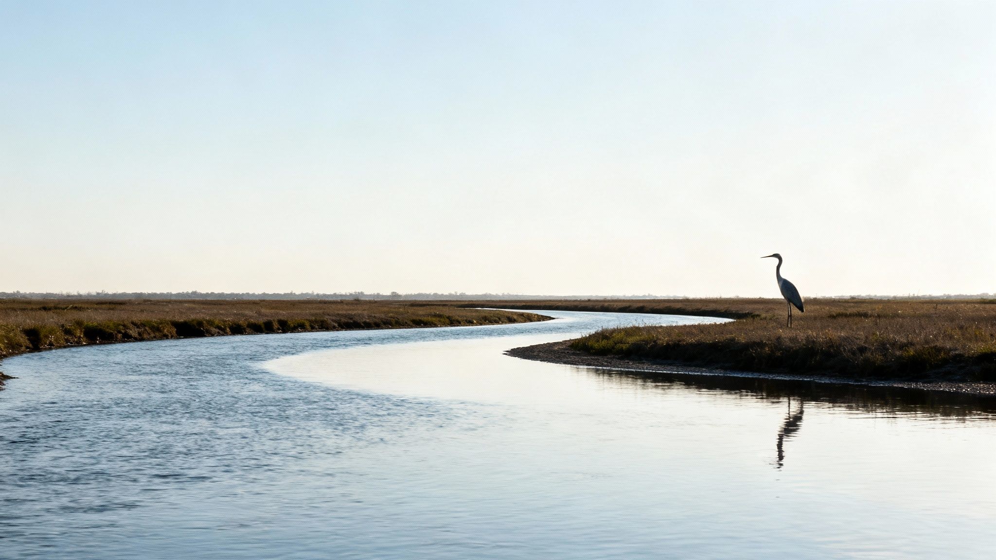 Compose Thoughtfully Using Rule of Thirds and Leading Lines