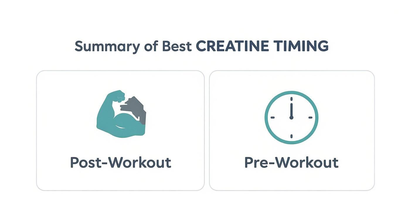 Infographic about best time to take creatine for muscle growth