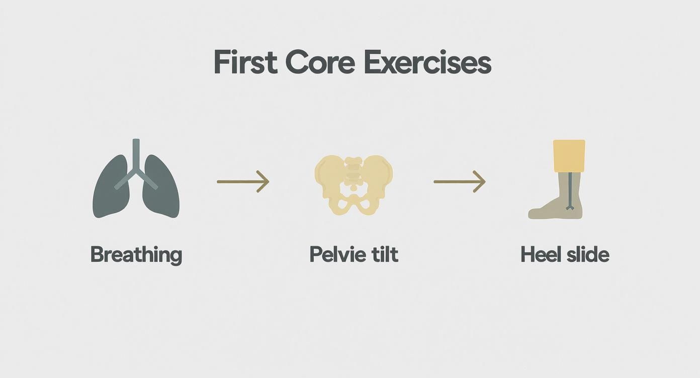 Infographic about diastasis recti safe exercises