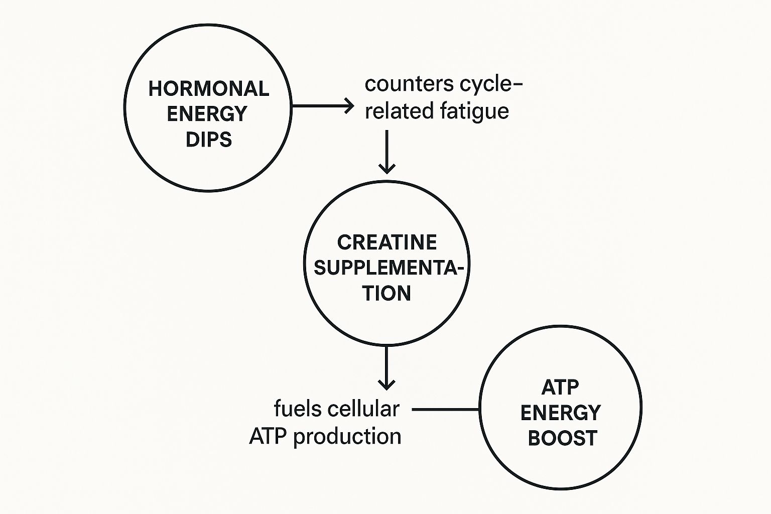 Infographic about creatine benefits for women
