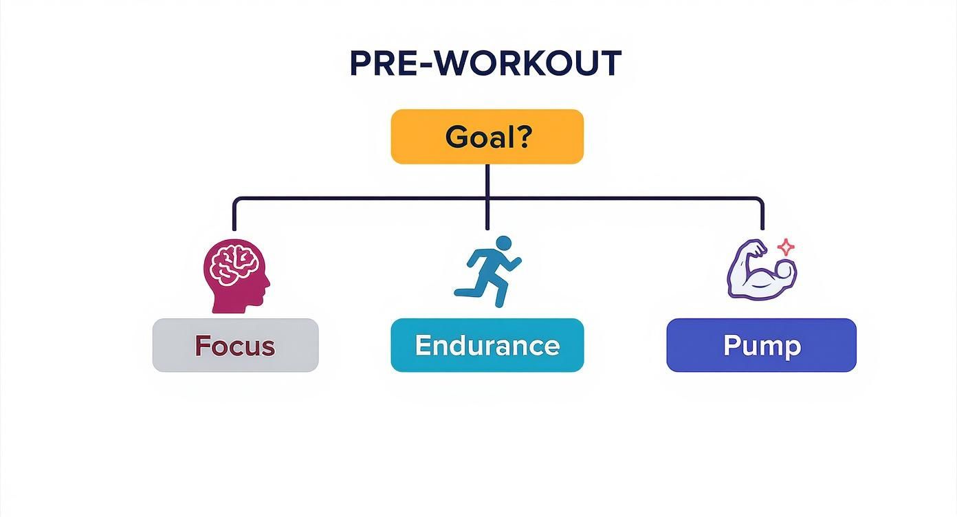 Infographic about best supplements for lean muscle