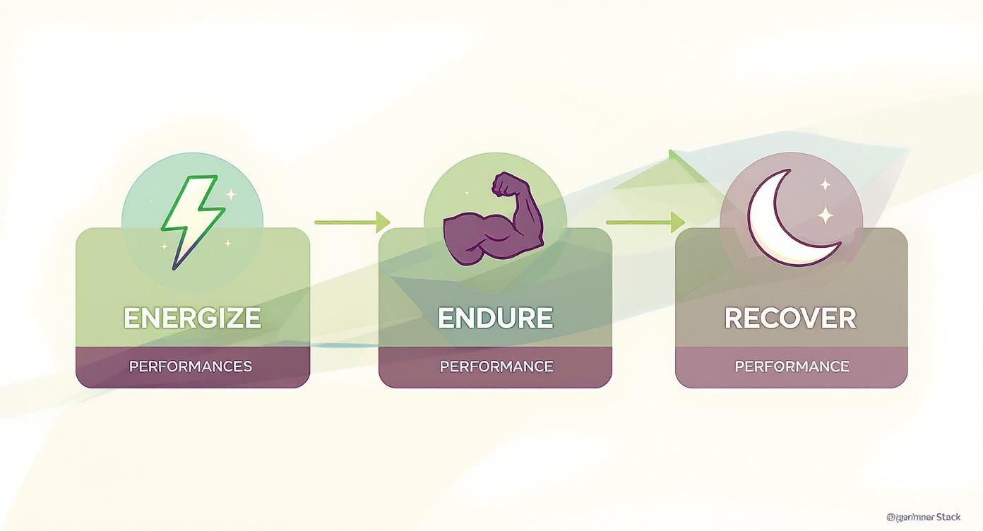 Infographic about muscle building stack supplements