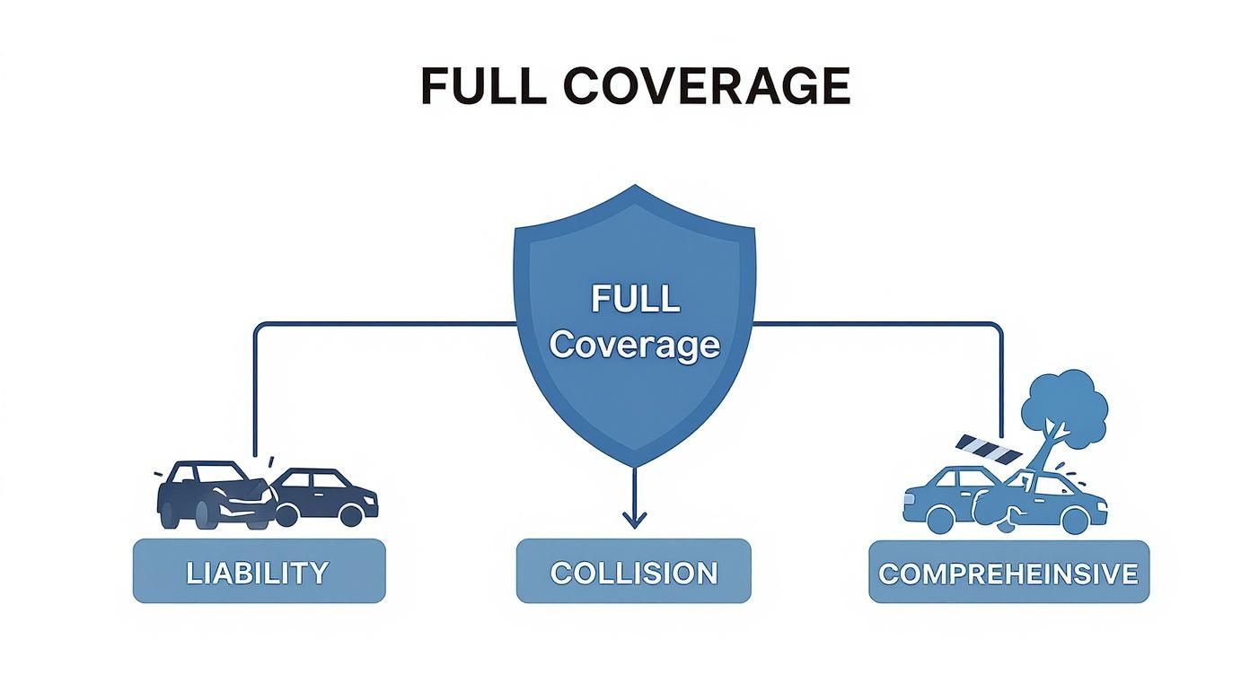 Infographic about average cost for car insurance