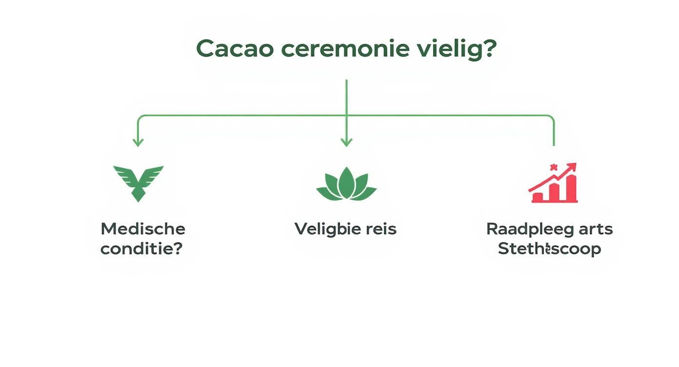 Diagram toont drie redenen voor cacao ceremonie: medische conditie, veilige reis en advies arts stethoscoop