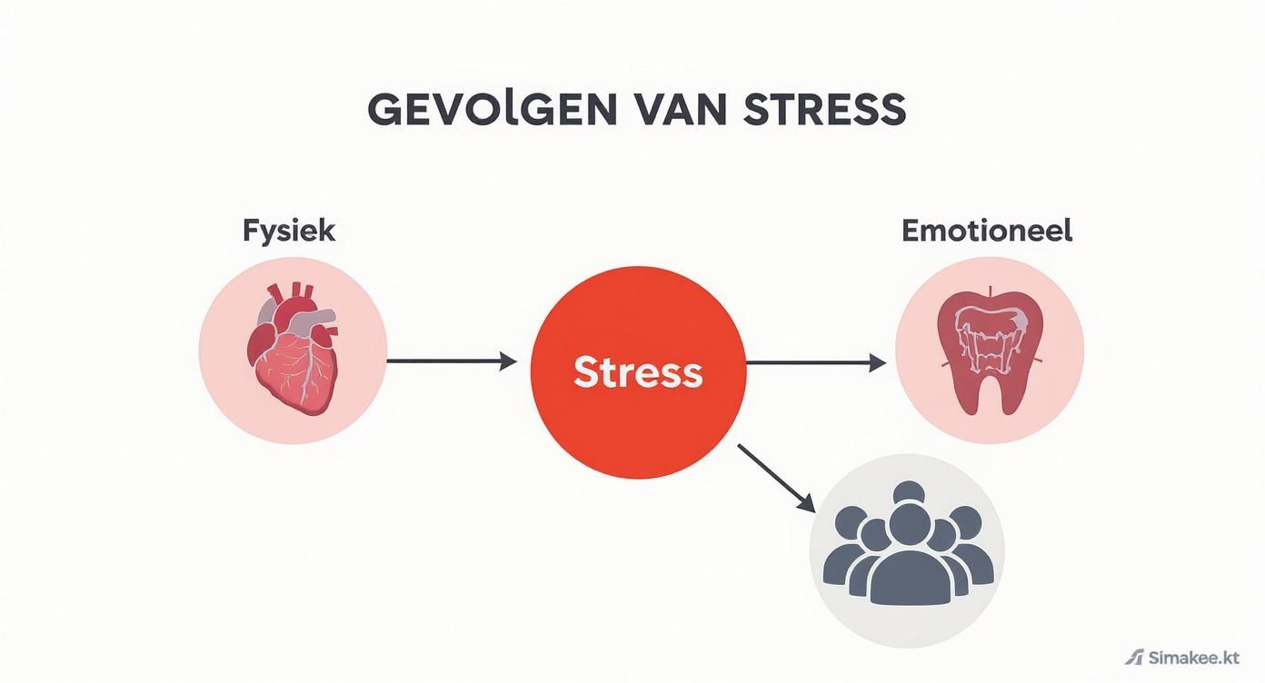 Ontdek De Gevolgen Van Langdurige Stress En Vind De Weg Terug Naar ontdek-de-gevolgen-van-langdurige-stress-en-vind-de-weg-terug-naar