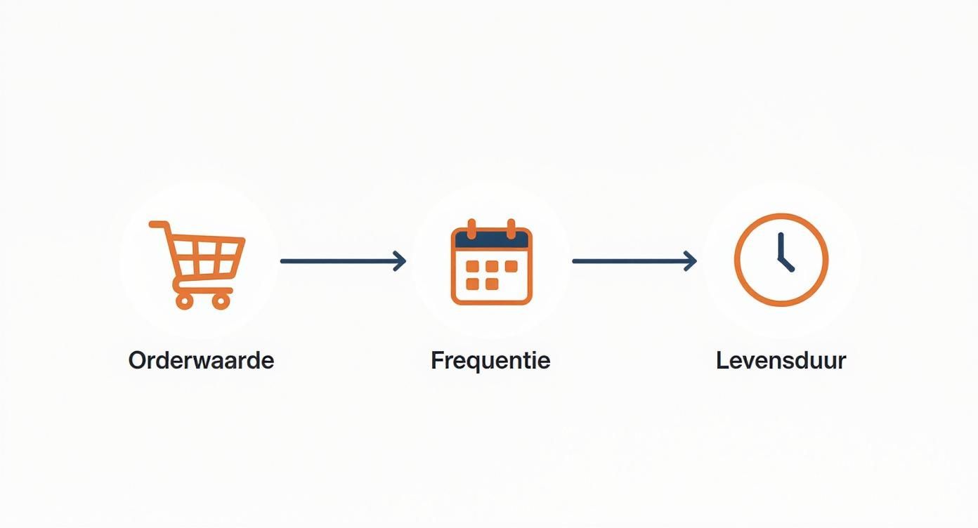 Infographic die de stroom van CLV-data toont, van orderwaarde naar frequentie en levensduur.
