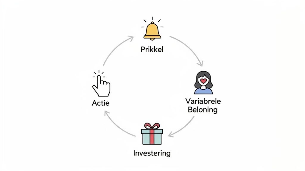 Een diagram dat de cyclus van prikkel, variabele beloning, investering en actie toont.