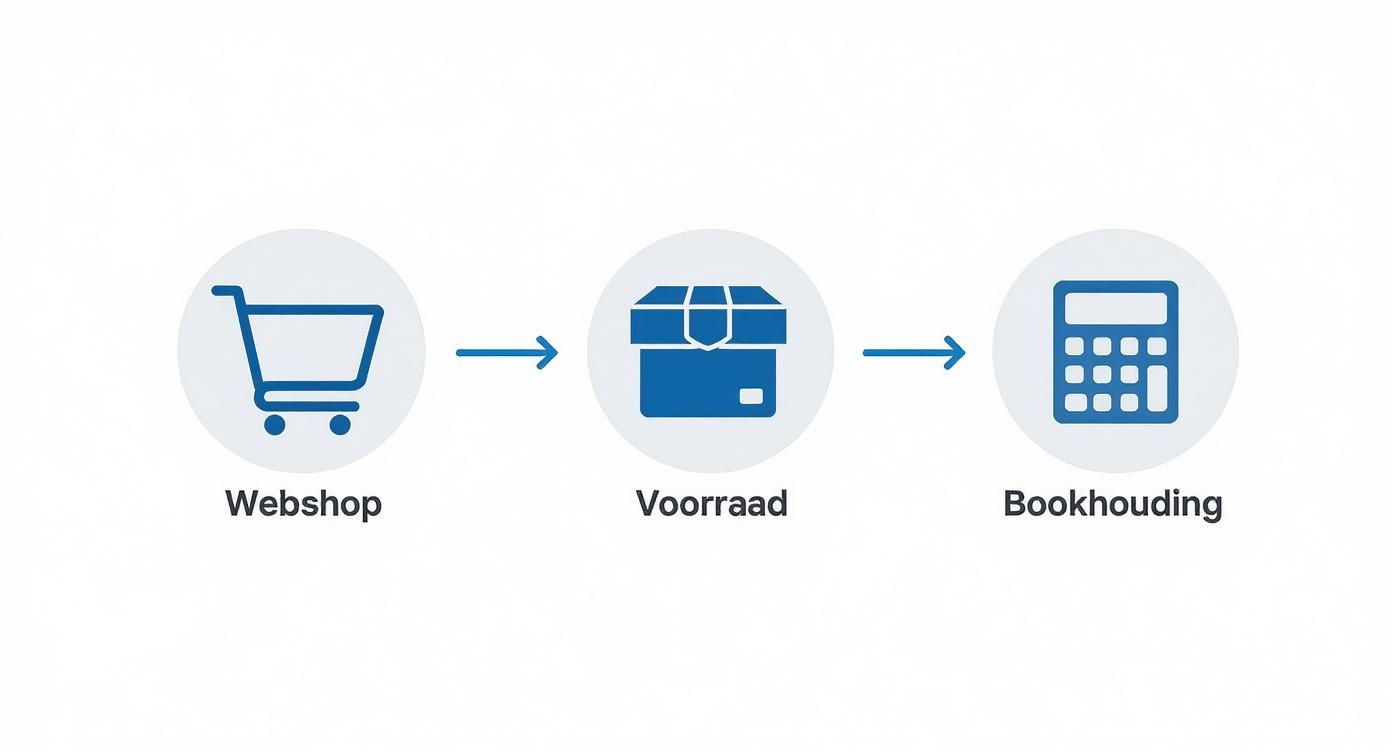 Workflow diagram met drie stappen: webshop, voorraad en boekhouding met pijlen die de data-integratie weergeven