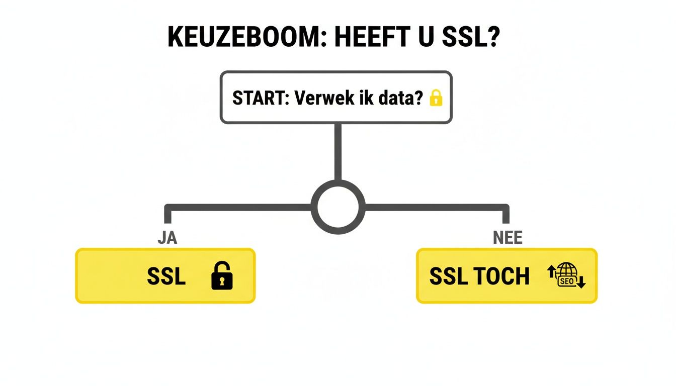 Beslissingsboom over SSL-certificaten, met opties voor dataverwerking en SEO-voordelen.