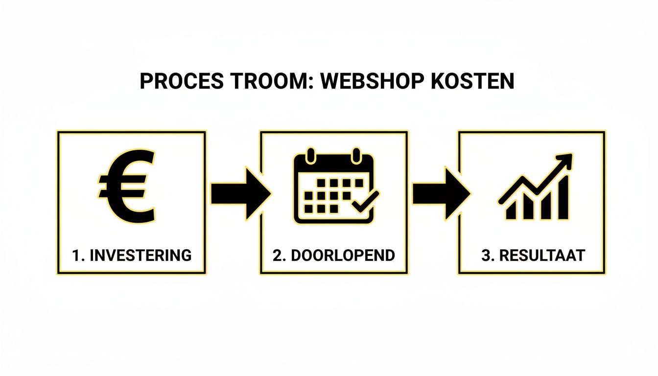 Visueel proces van webshop kosten: investering, doorlopende uitgaven en financieel resultaat.