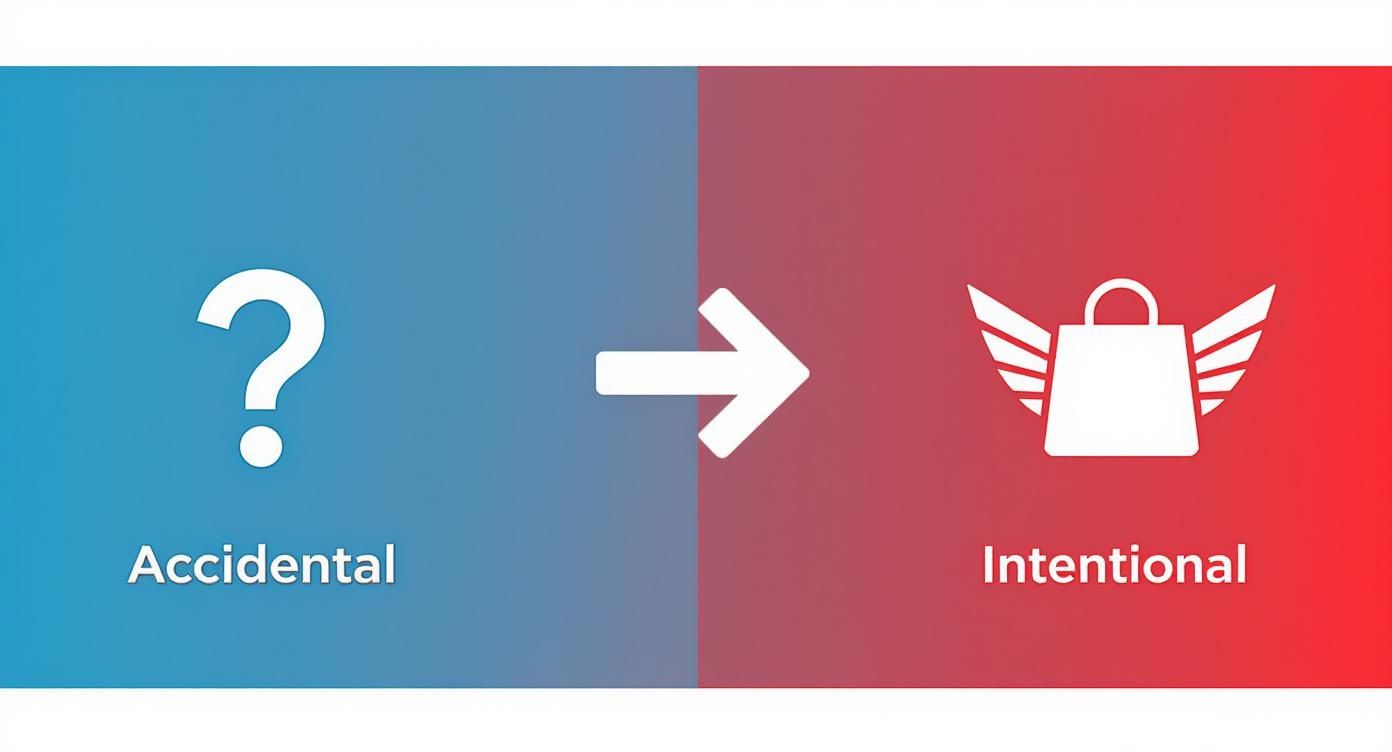 A visual showing a question mark and 'Accidental' transforming into a winged shopping bag and 'Intentional'.