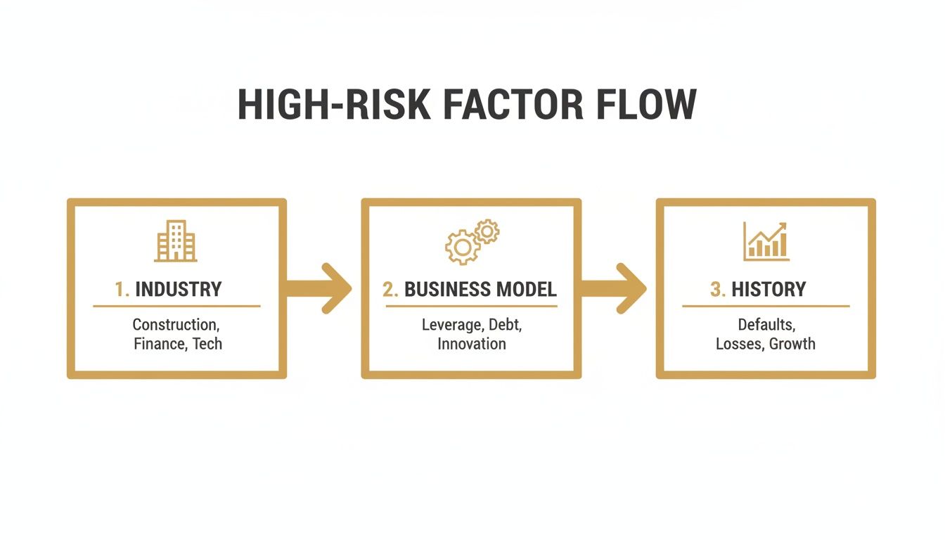 A flowchart titled 'High-Risk Factor Flow' illustrates three stages: Industry, Business Model, and History.
