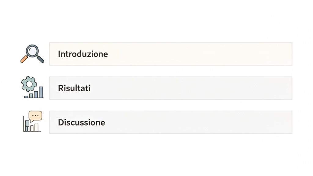 Tre sezioni di un documento o presentazione: Introduzione, Risultati e Discussione, accompagnate da icone tematiche.