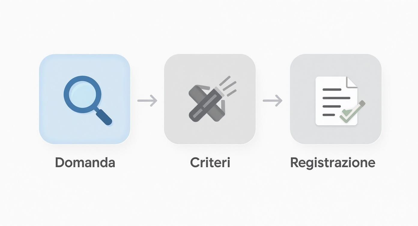 Diagramma di flusso con tre icone che mostrano le fasi di domanda, criteri e registrazione.