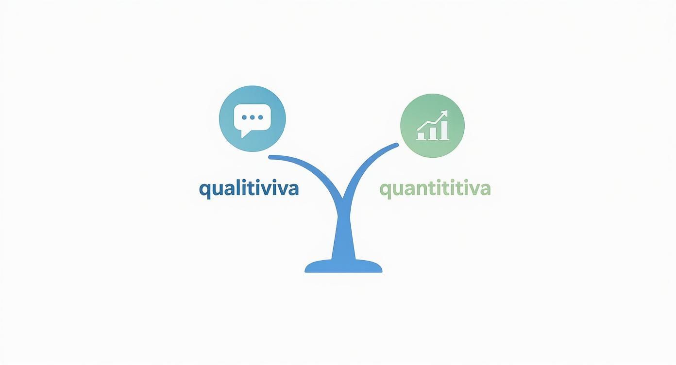 Infographic about metodologia della ricerca