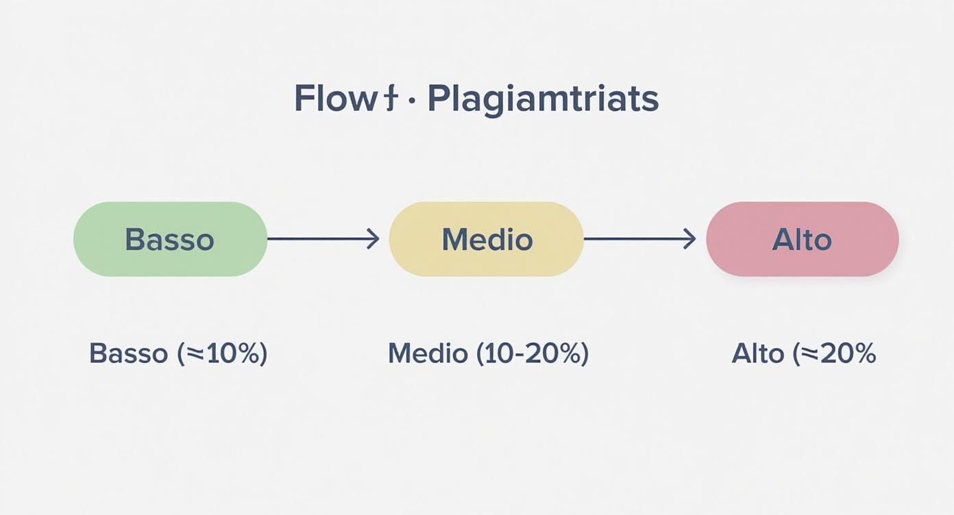 Infografica che mostra un processo a tre fasi per la valutazione della percentuale di plagio: Basso (<10%) con semaforo verde, Medio (10-20%) con semaforo giallo, e Alto (>20%) con semaforo rosso.