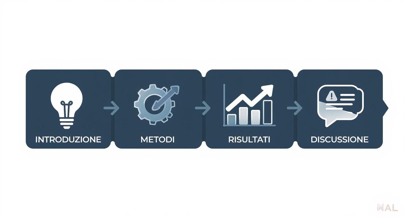 Diagramma di flusso della ricerca con quattro fasi: introduzione, metodi, risultati e discussione