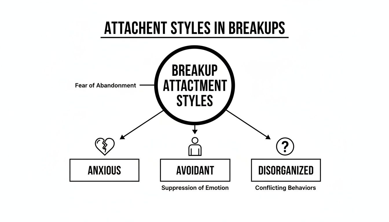 Diagram illustrating three breakup attachment styles: Anxious, Avoidant, and Disorganized, detailing their core characteristics.