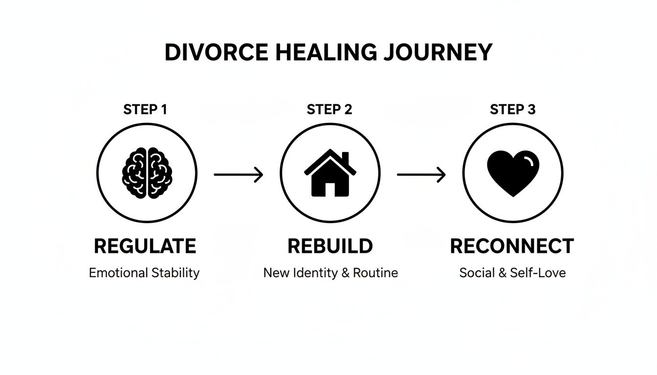 A diagram illustrating the three steps of a divorce healing journey: Regulate, Rebuild, and Reconnect.
