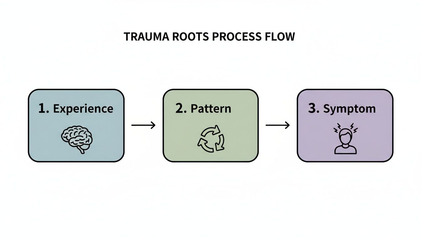 A trauma roots process flow diagram illustrating experience leading to pattern, and then to symptom.
