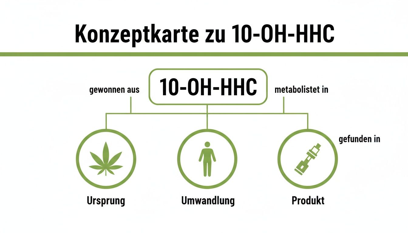 Konzeptkarte zu 10-OH-HHC: gewonnen aus Ursprung (Cannabis), metabolisiert in Umwandlung (Mensch), gefunden in Produkt (Vape).