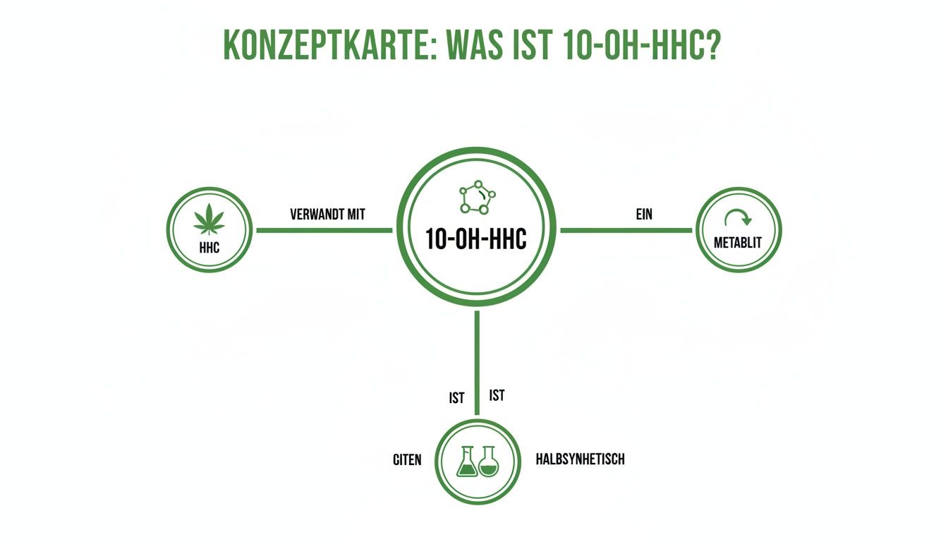 Konzeptkarte erklärt 10-OH-HHC: Verwandt mit HHC, ist ein Metabolit und halbsynthetisch.