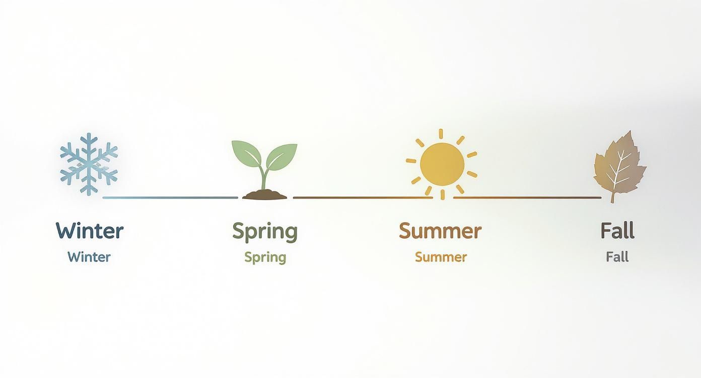 Four seasons illustrated with snowflake, sprout, sun, and autumn leaf symbols representing winter spring summer fall