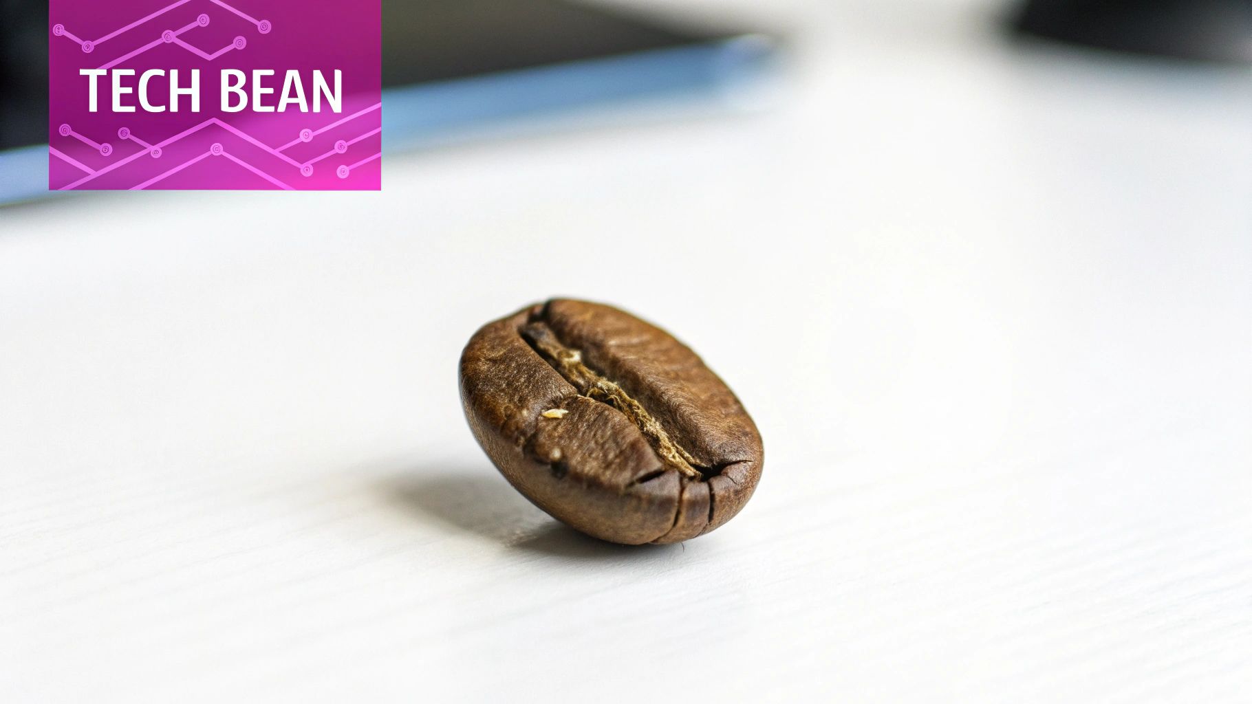 A close-up of a single roasted coffee bean on a white surface, with a 'TECH BEAN' logo.