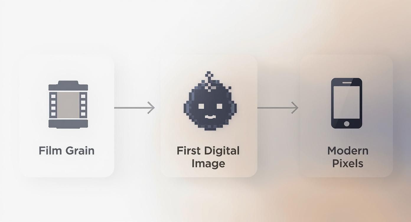 A visual timeline showing the evolution from film grain to early digital pixels and modern smartphone displays.