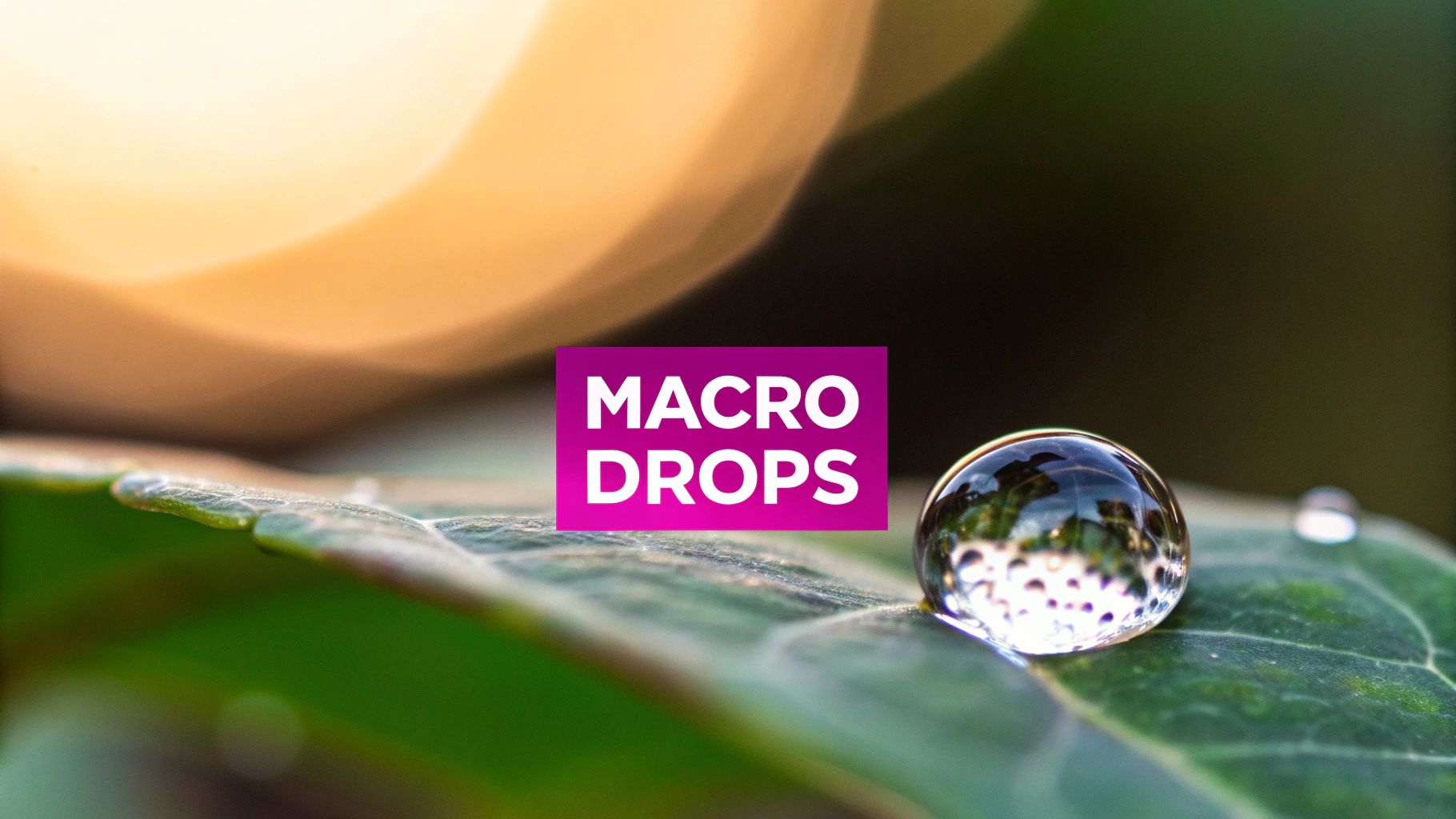 Macro Water Drop Photography