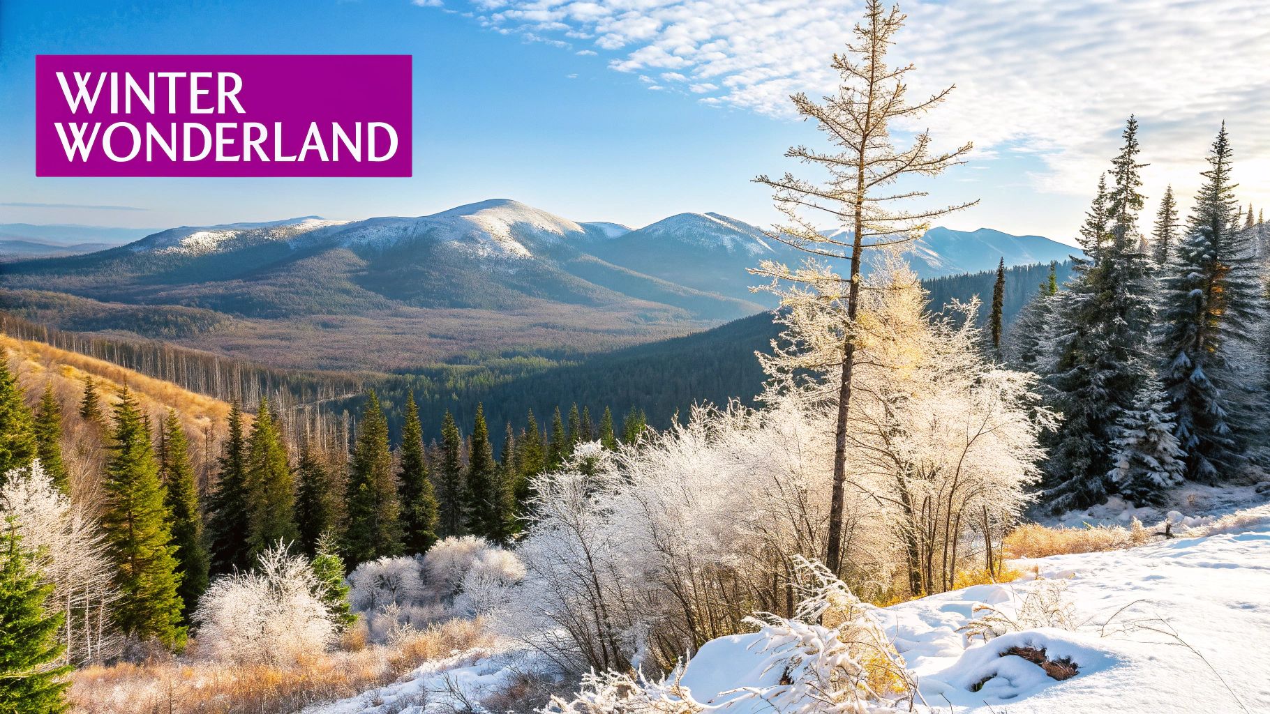 Winter Wonderland: Ice Blue, Silver, and White