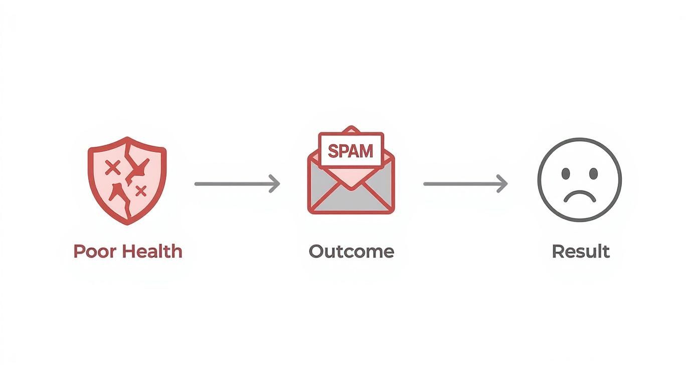 A visual flow diagram illustrating how poor health can lead to spam outcomes and sad results.