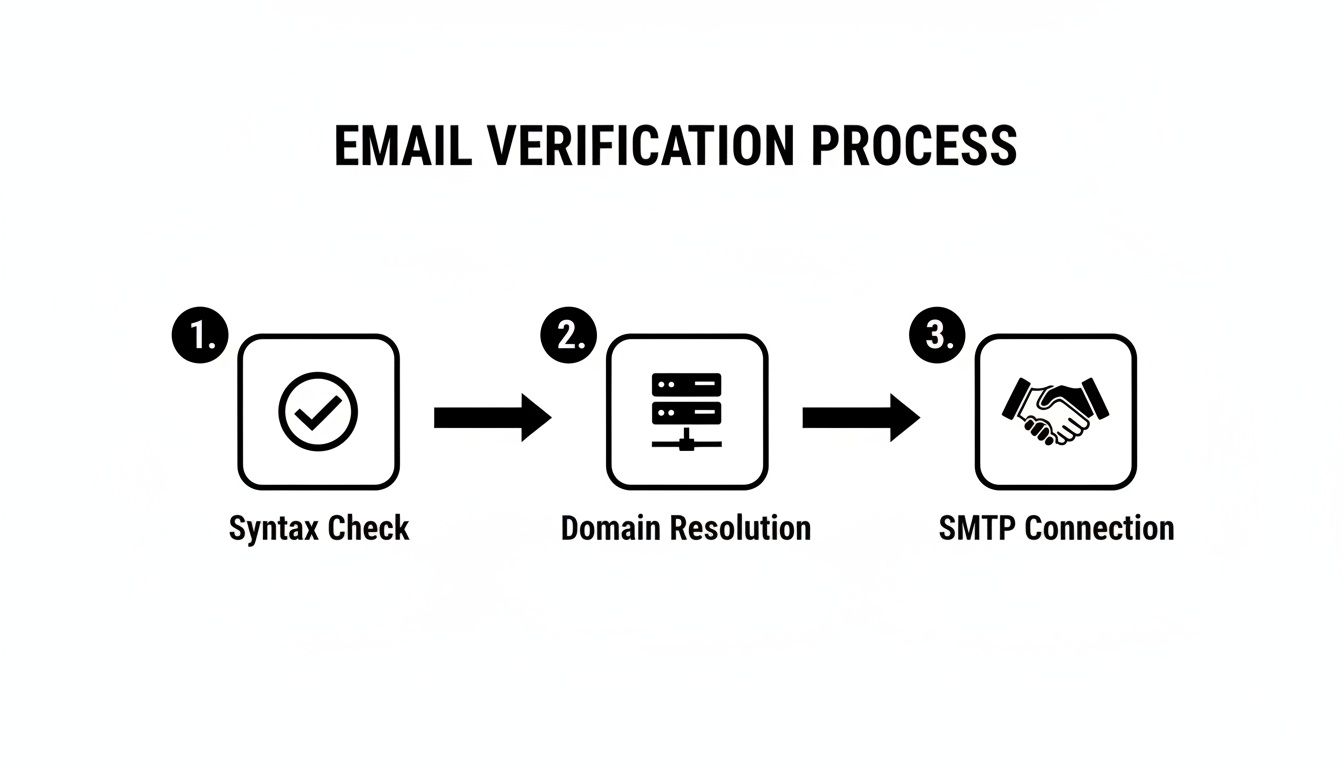 Diagram showing the 3-step email verification process: syntax check, domain resolution, and SMTP connection.