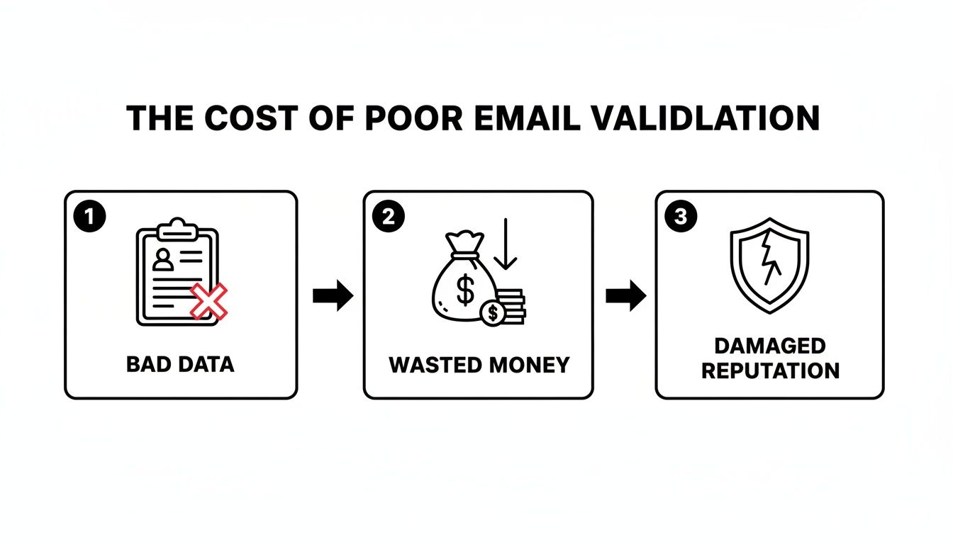 Infographic illustrating the negative impact of poor email validation, leading to bad data, wasted money, and damaged reputation.