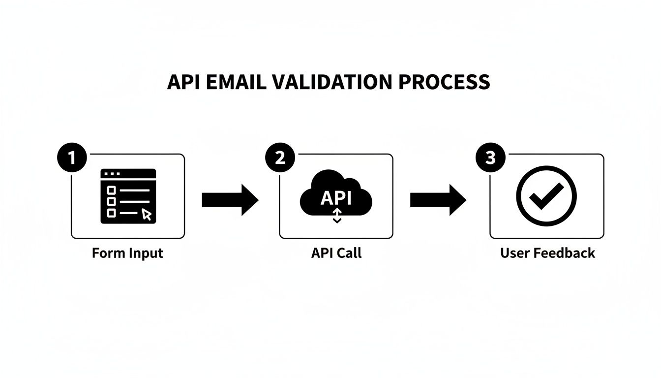 Diagram illustrating the API email validation process with three steps: Form Input, API Call, and User Feedback.